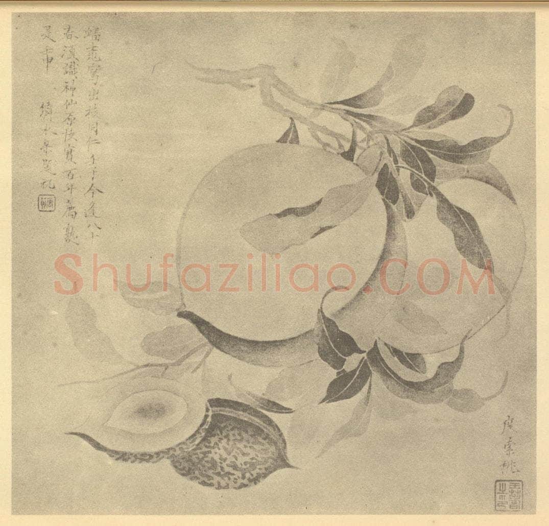 清 王概《桃实》国画作品