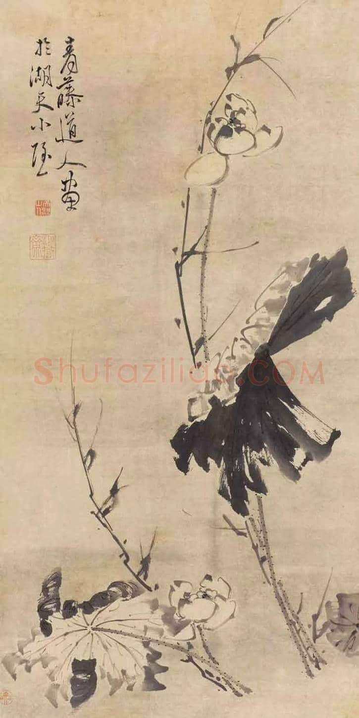 徐渭墨荷,这才叫大写意 | 书画知识