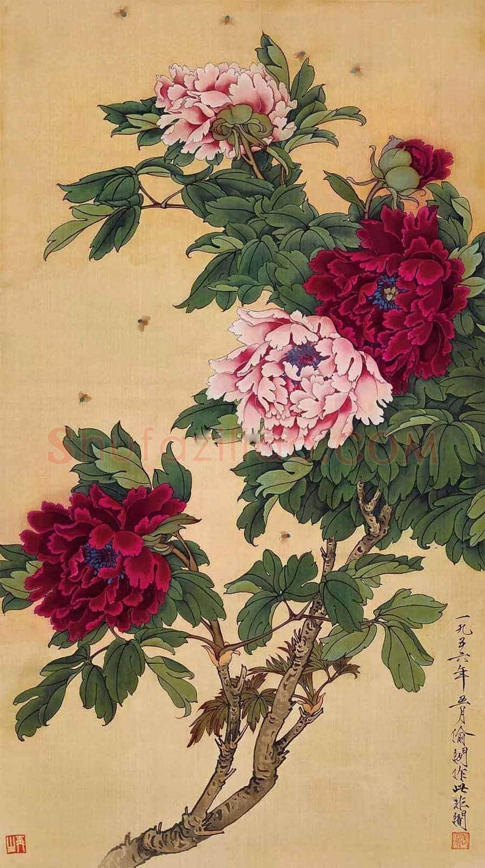 名家笔下的牡丹花【高清大图】 | 书画讲解