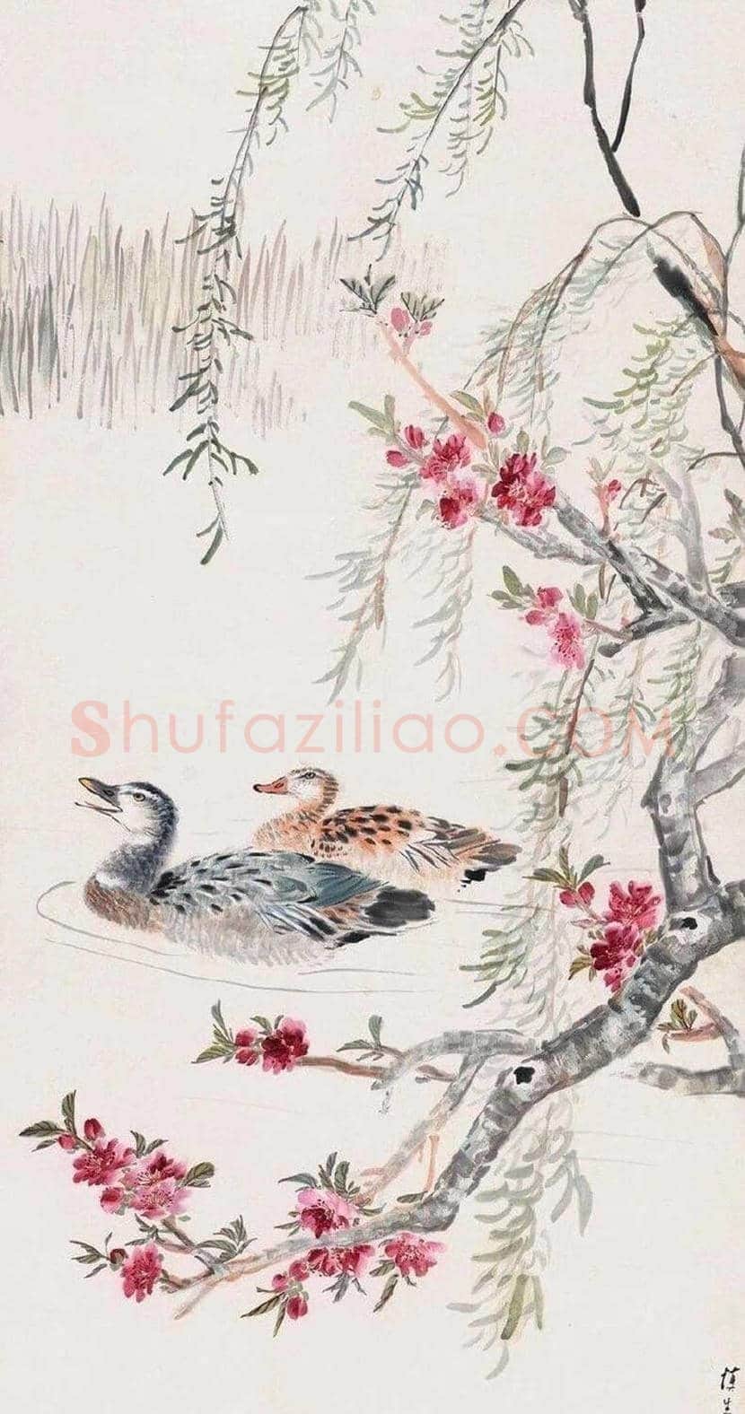 汪慎生花鸟画作品欣赏 | 书画常识