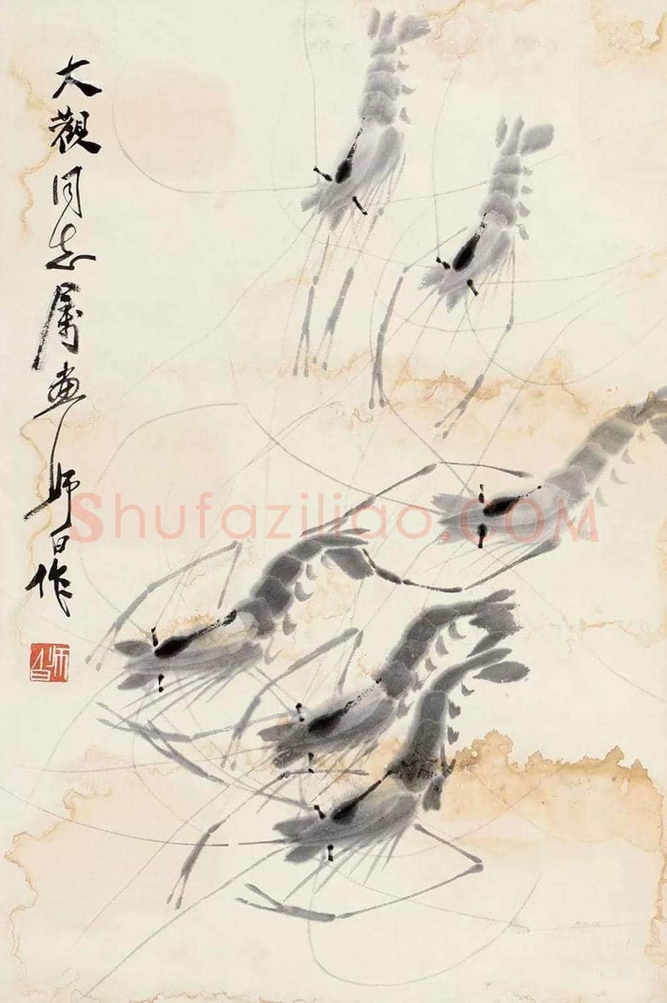 娄师白画虾作品欣赏 | 书画知识