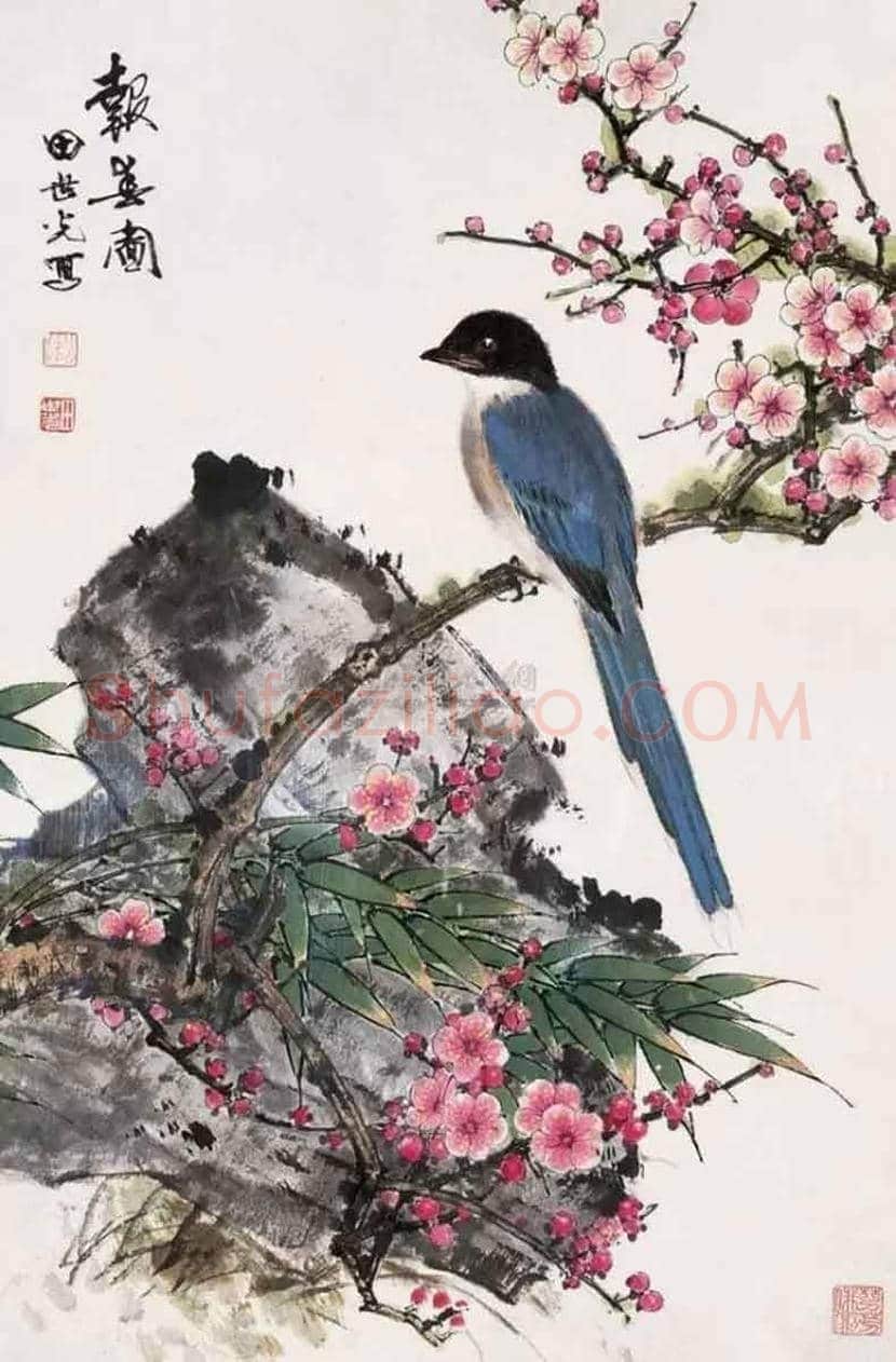 田世光花鸟画作品欣赏 | 书画科普