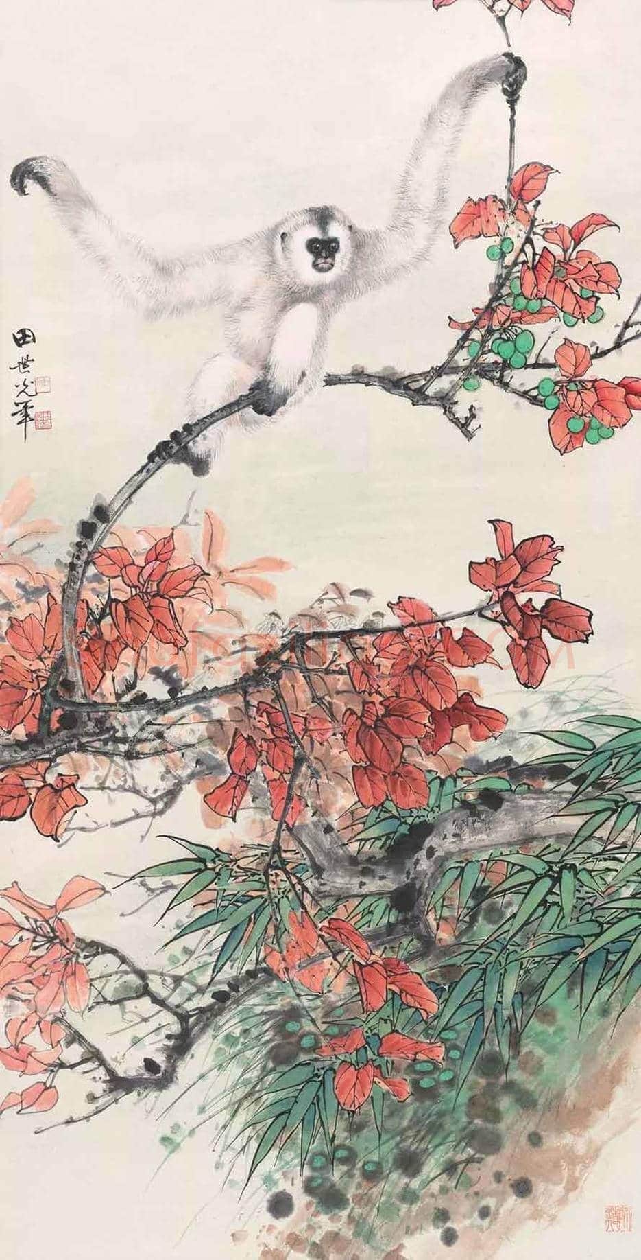 田世光猿猴作品精选 | 书画文摘