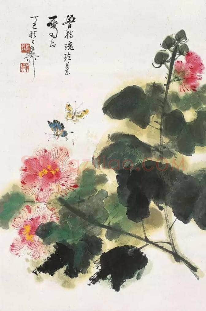 谢稚柳等名家笔下芙蓉花开 | 书画百科