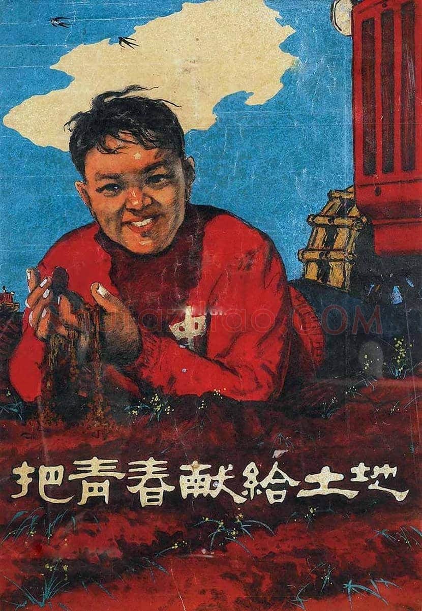 新中国宣传画欣赏 | 书画资料