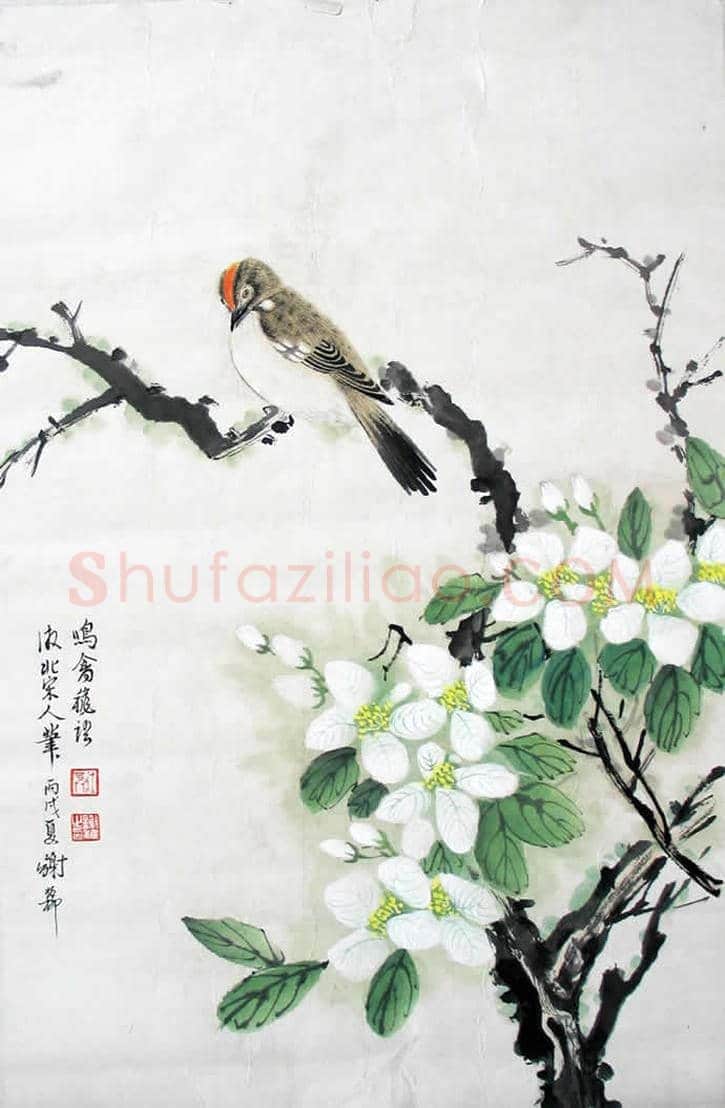 谢稚柳作品欣赏 | 书画学堂