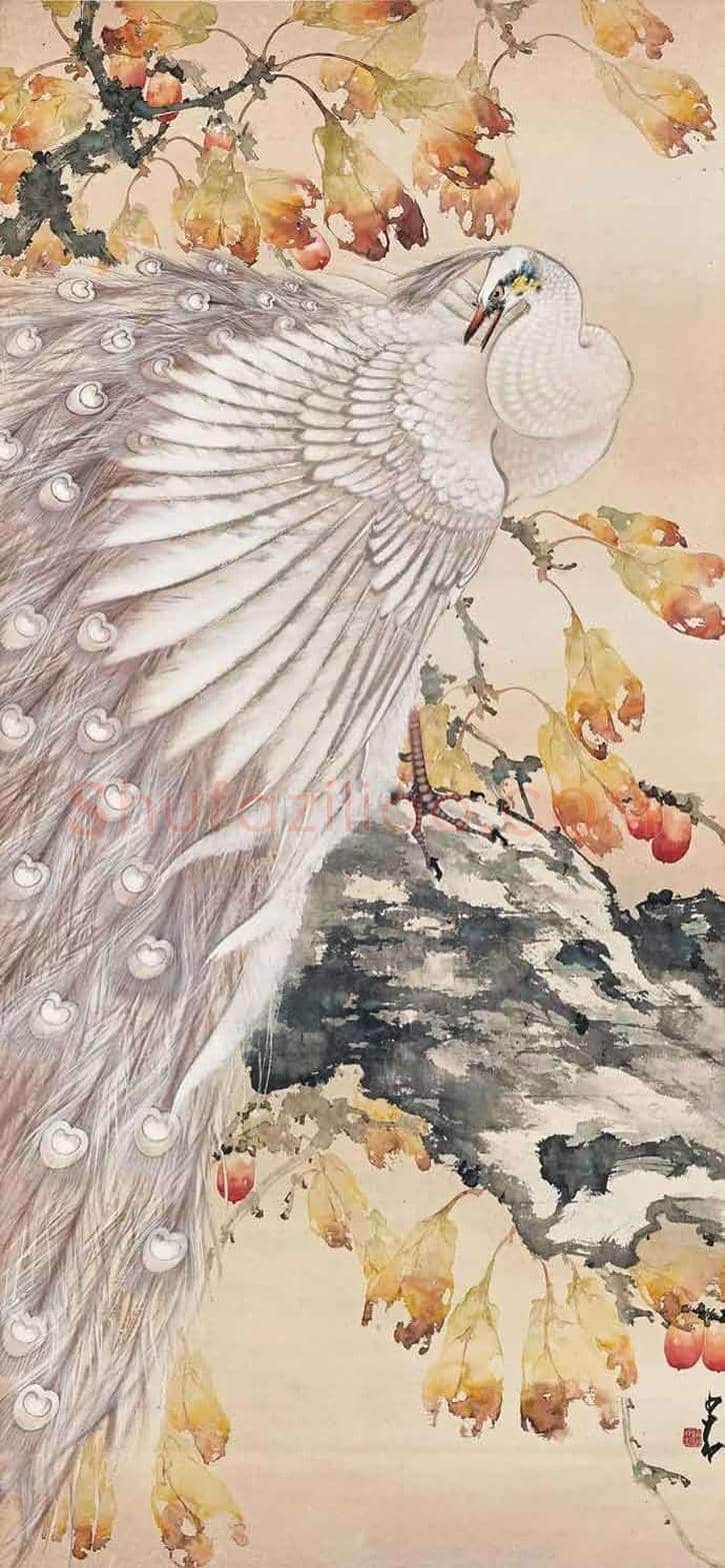 赵少昂花鸟鱼虫画欣赏 | 书画资料