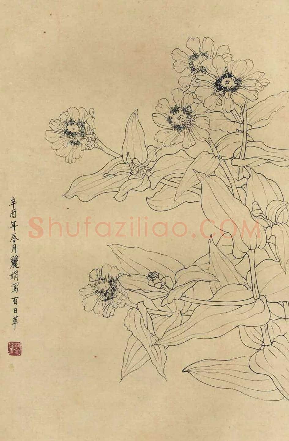 百花图谱大全【白描画】 | 书画资料