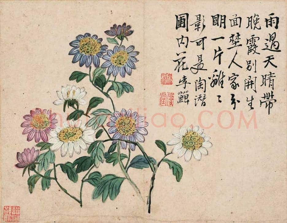 李鱓花鸟册页欣赏 | 书画讲解