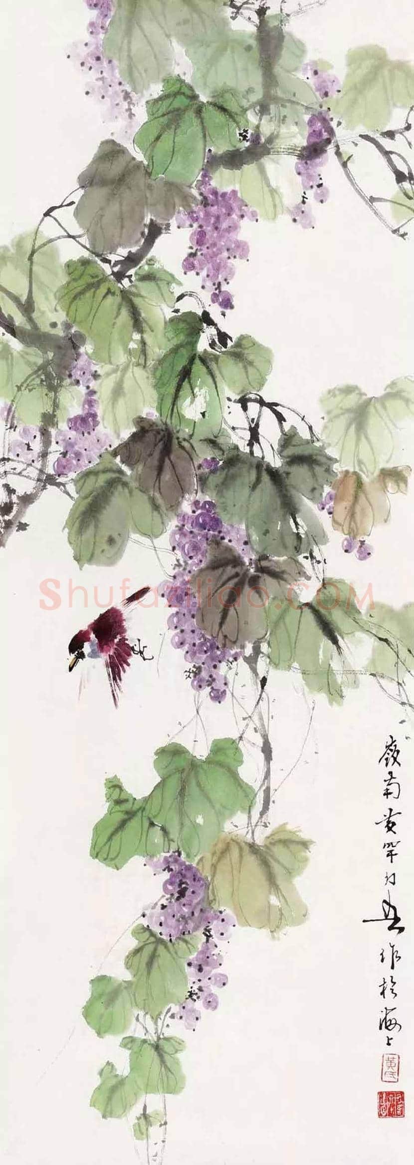 黄幻吾笔下的葡萄小鸟 | 书画常识