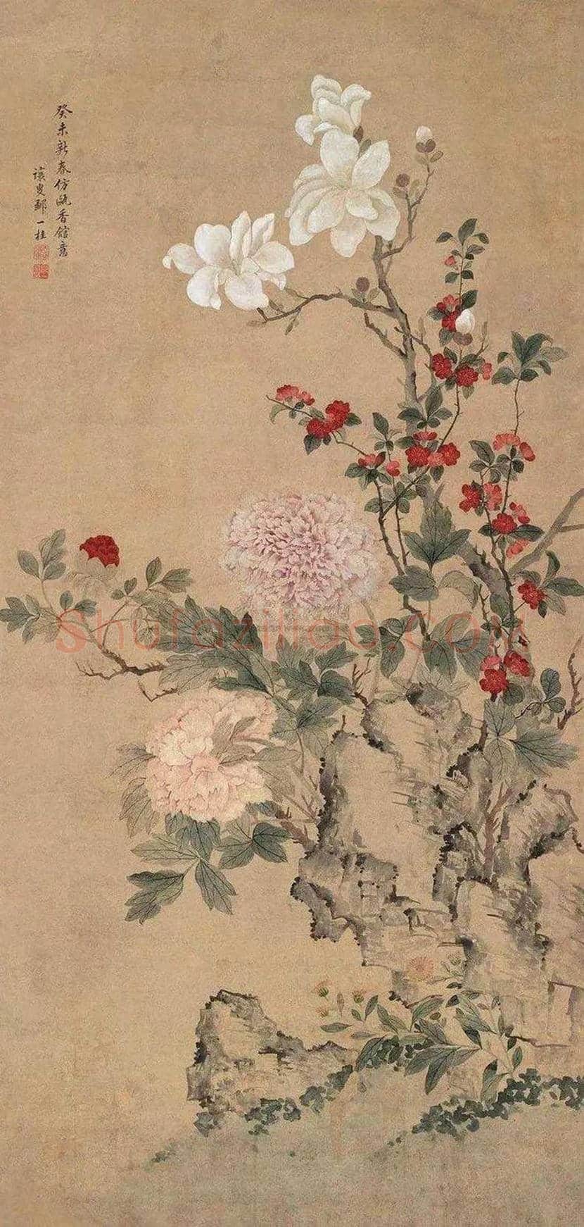 邹一桂工笔花鸟画作品欣赏 | 书画学堂