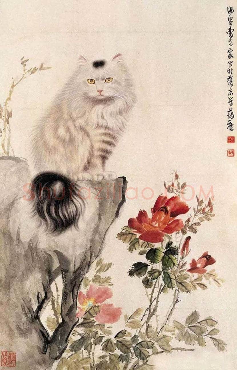 曹克家画猫作品欣赏 | 书画学堂