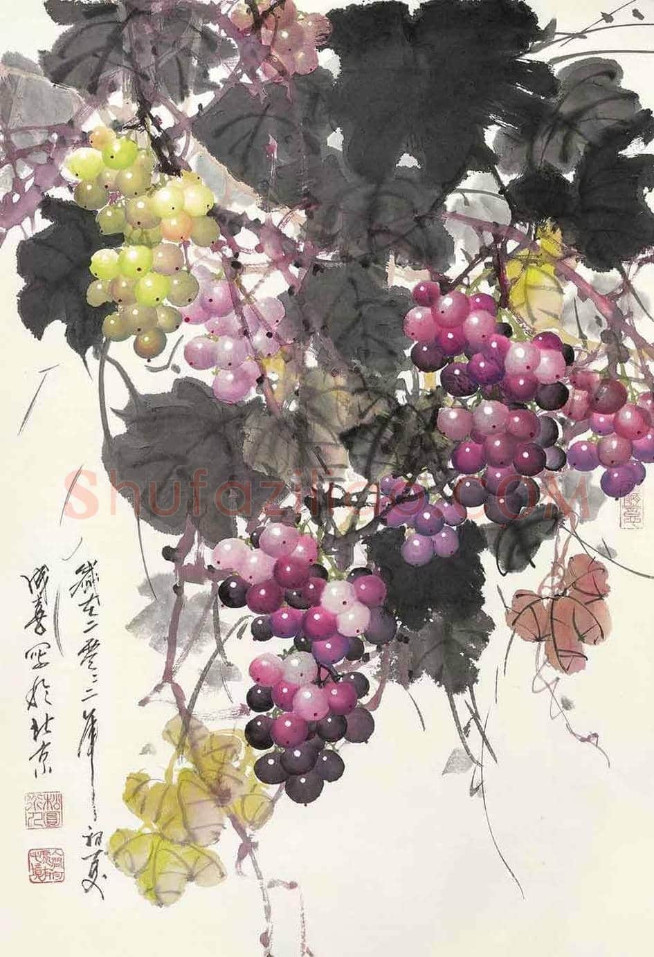 王成喜写意葡萄欣赏 | 书画科普