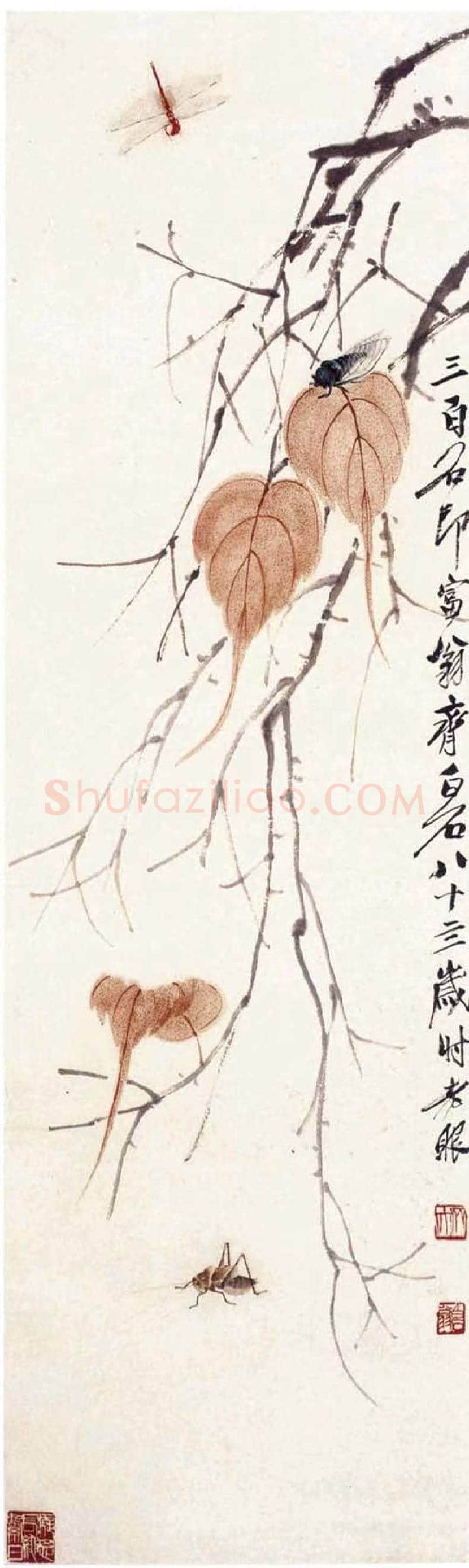 齐白石《贝叶草虫》真假辨别 | 书画文摘