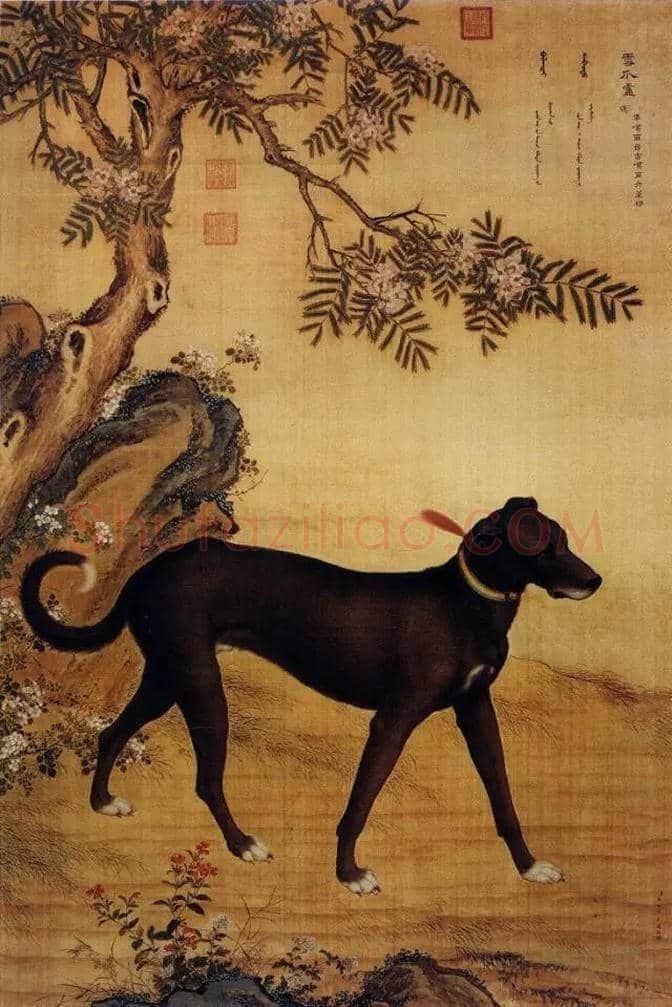 狗年看历代名家画狗，一起迎接2018春节 | 书画文摘
