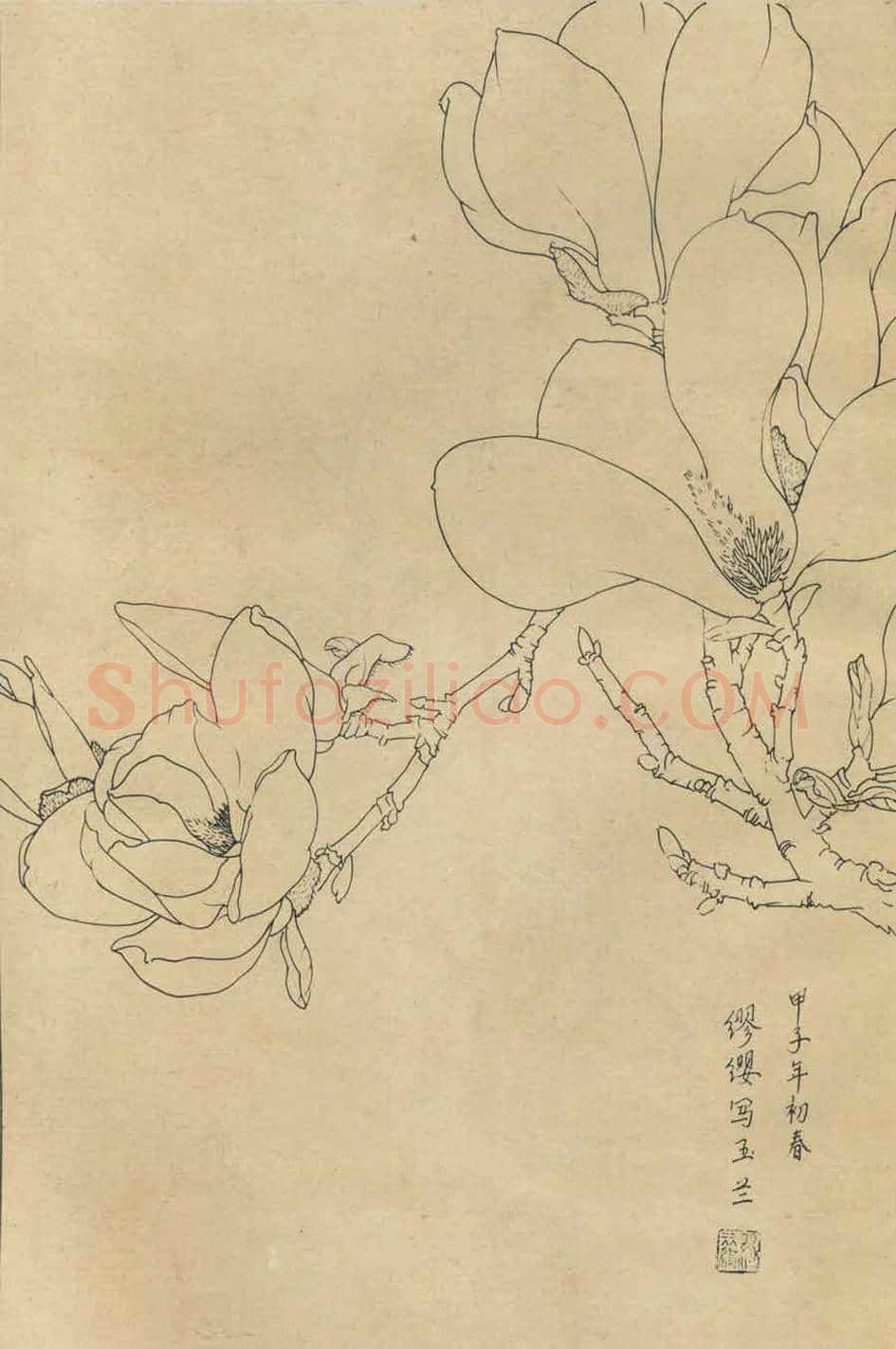 百花图谱大全【白描画】 | 书画资料
