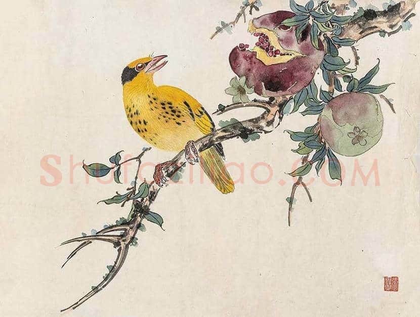 张其翼花鸟画作品欣赏 | 书画科普