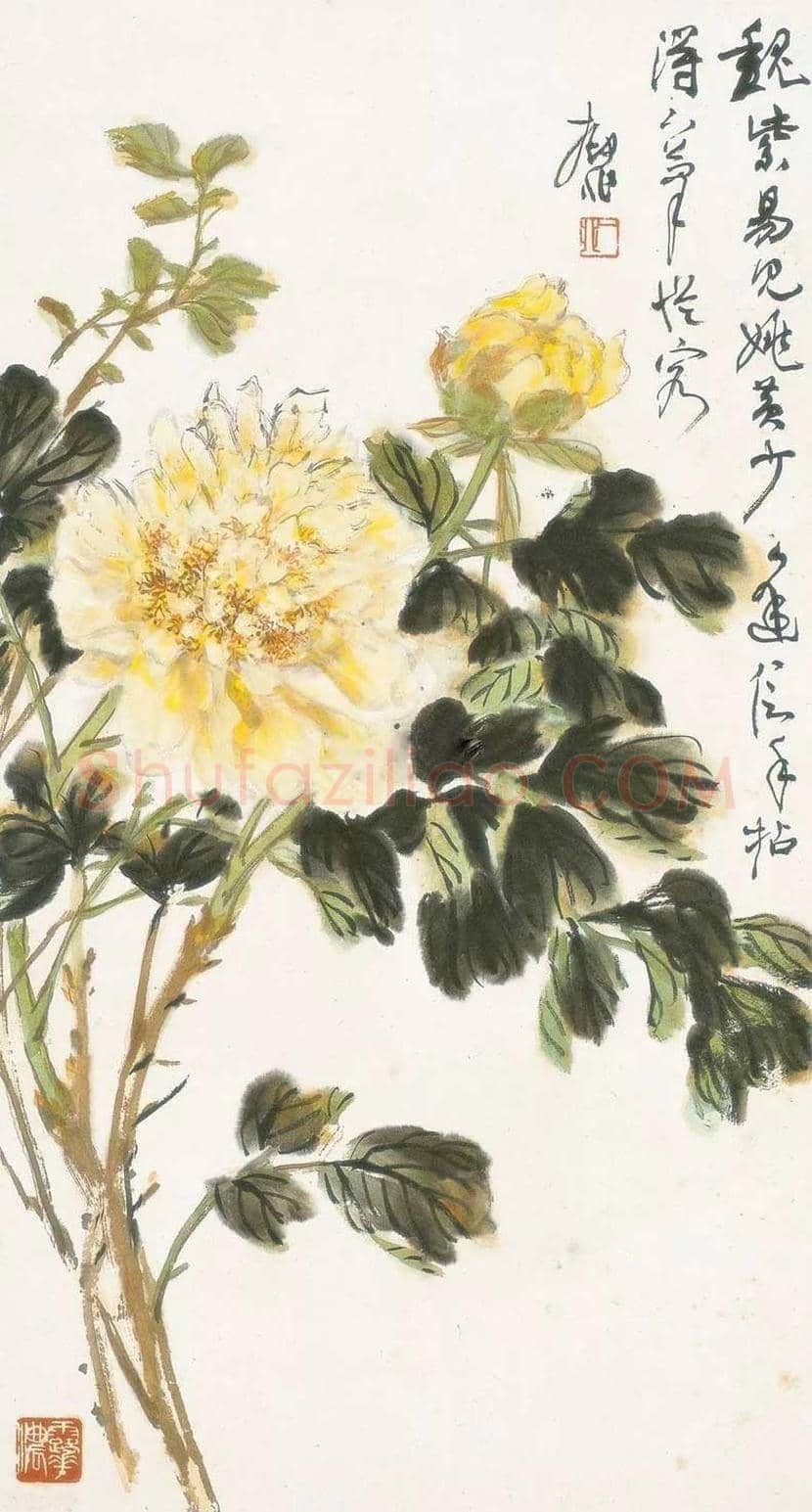 陆抑非牡丹作品欣赏 | 书画科普