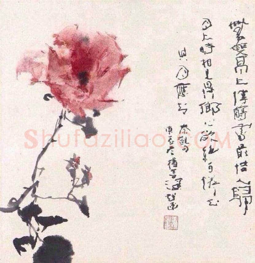 杨善深花鸟画作品欣赏 | 书画讲解