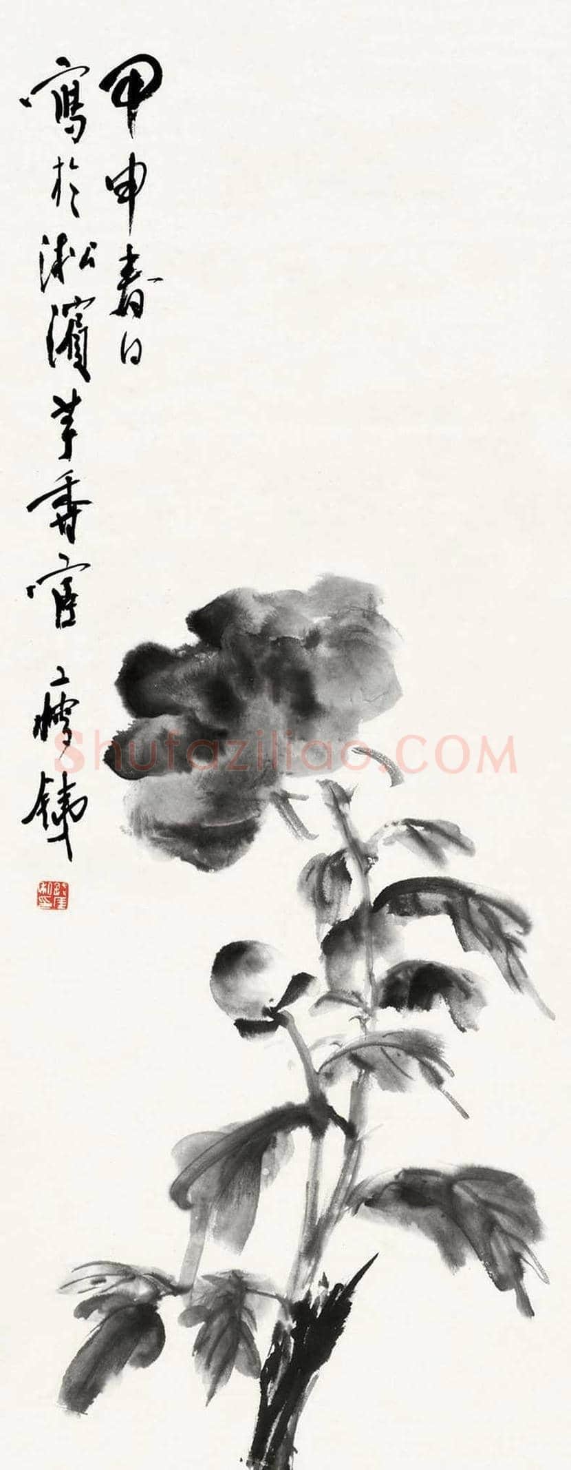 钱瘦铁花鸟画作品欣赏 | 书画讲解