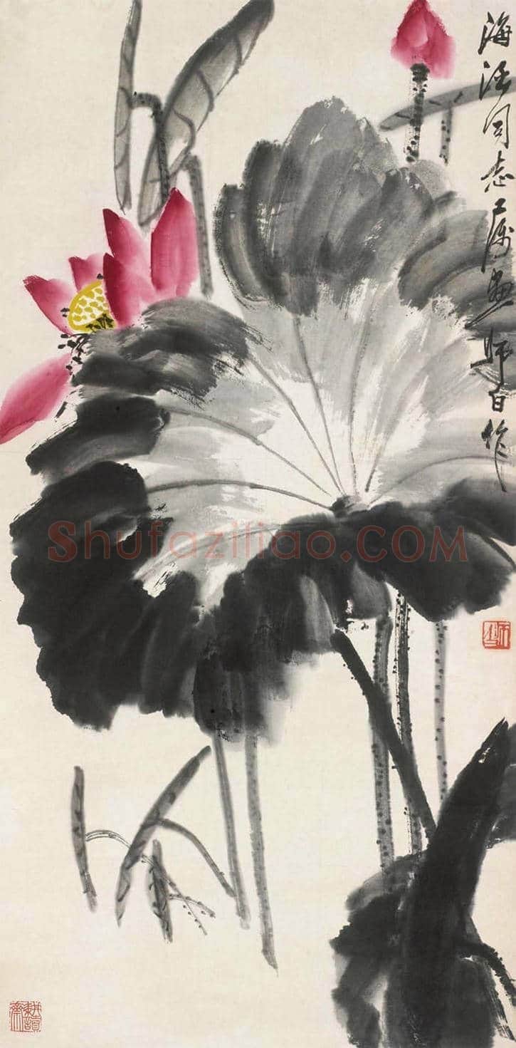 王雪涛娄师白荷花作品比较 | 书画学堂