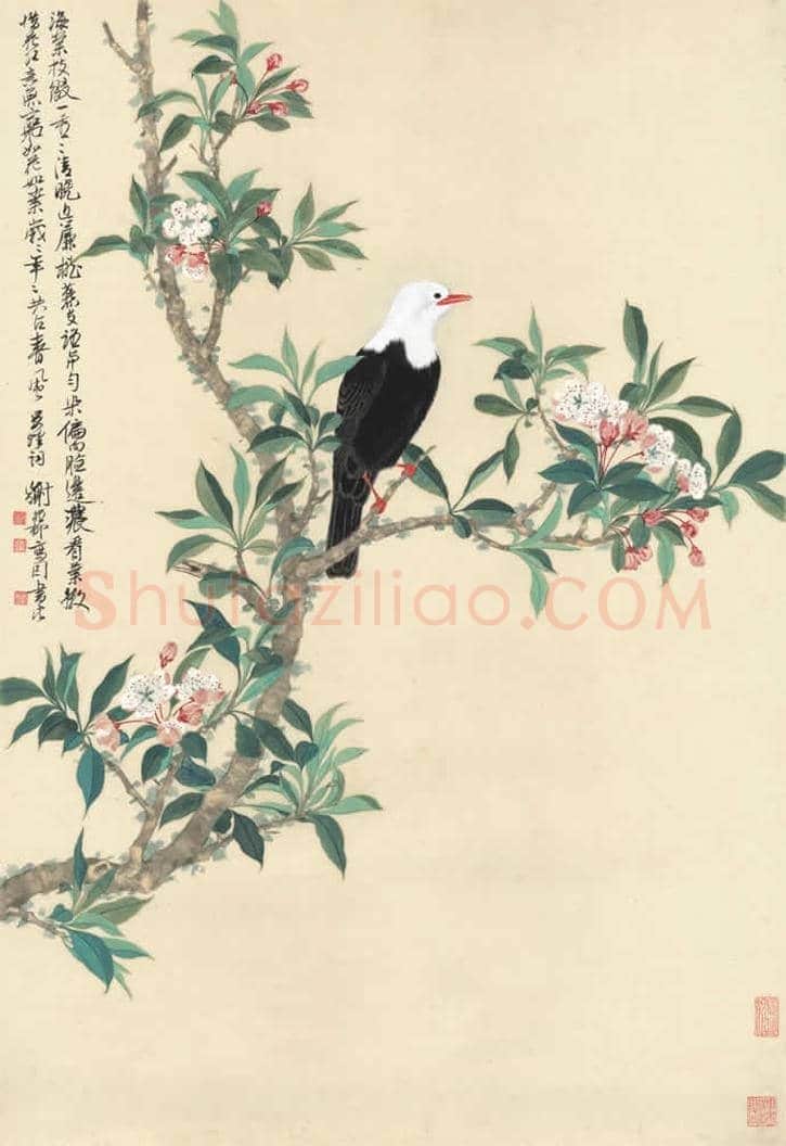 谢稚柳作品欣赏 | 书画学堂