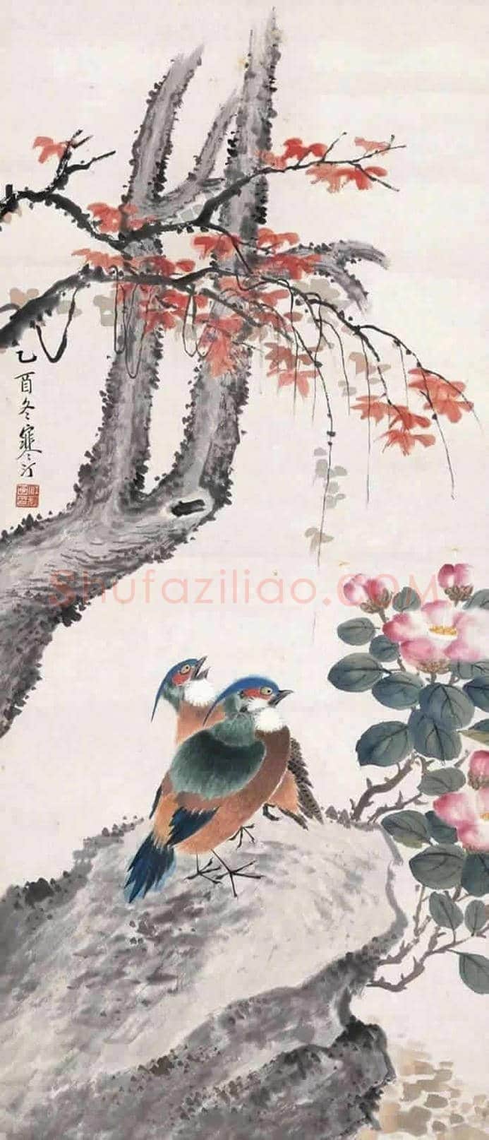 江寒汀最美花鸟精品集萃，值得品赏！ | 书画学堂