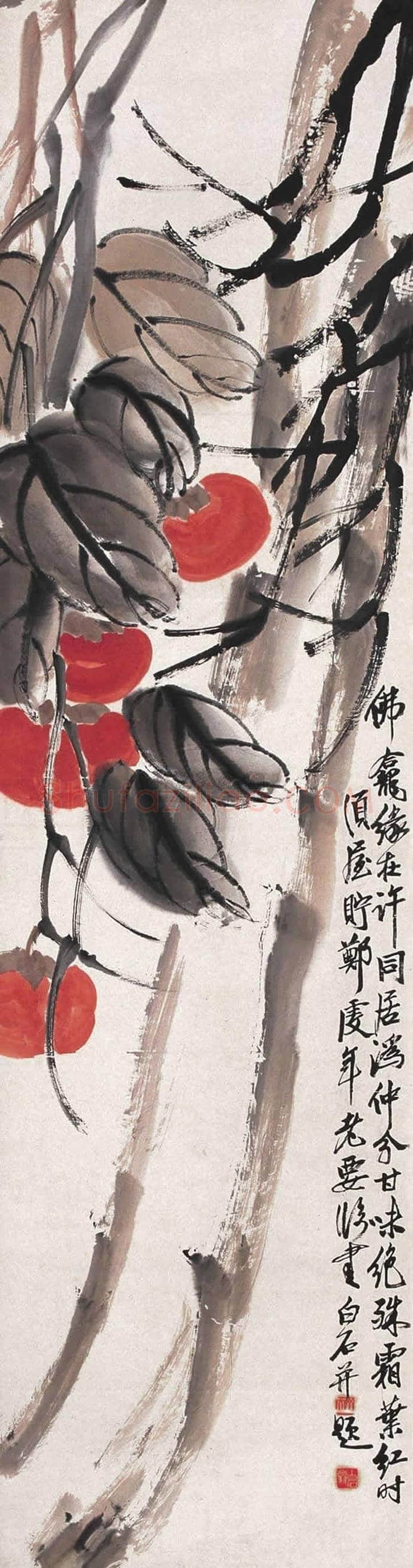 齐白石画笔下的柿子，事事如意 | 书画常识