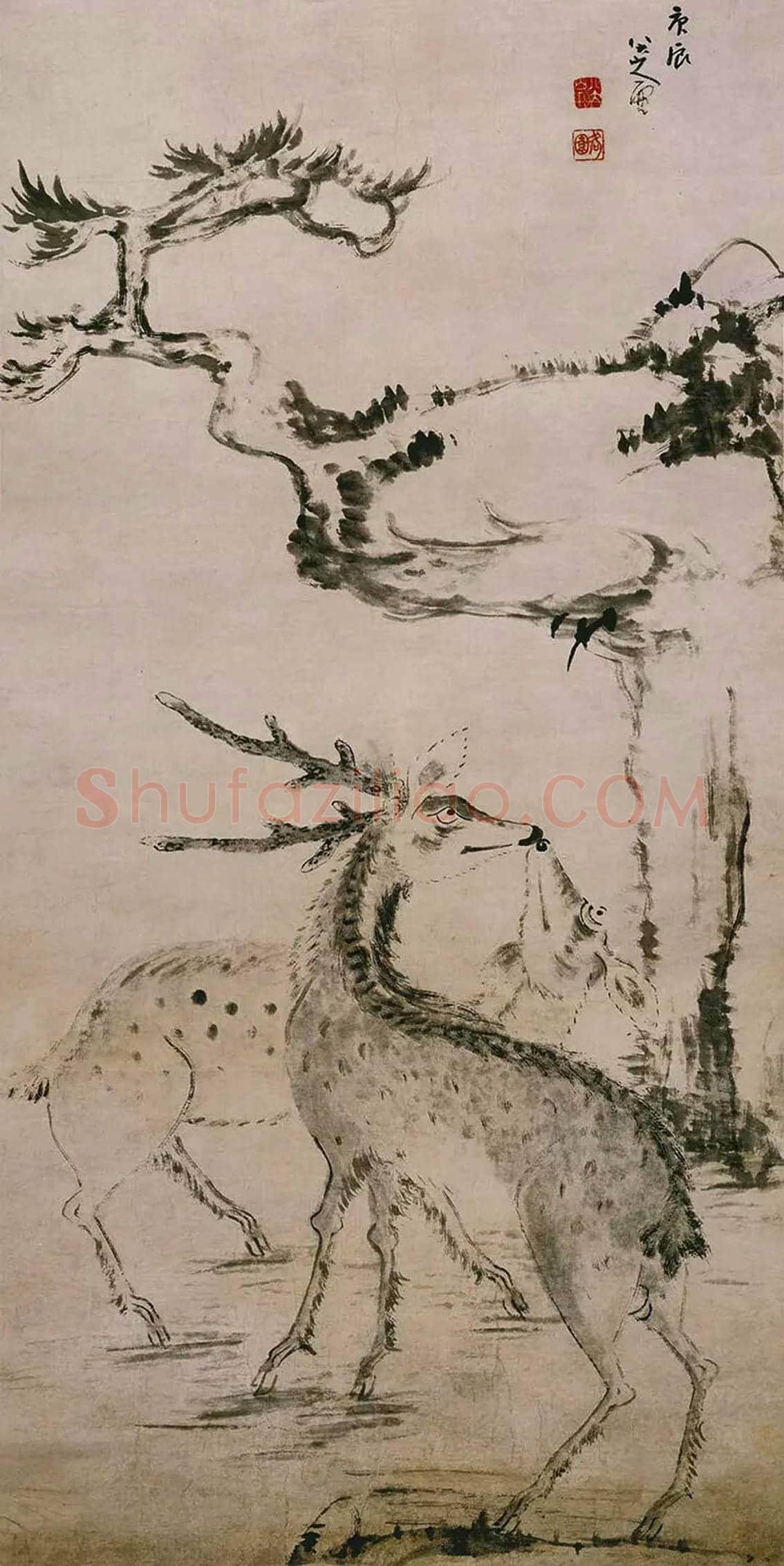 朱耷《松树双鹿图》欣赏 | 书画知识