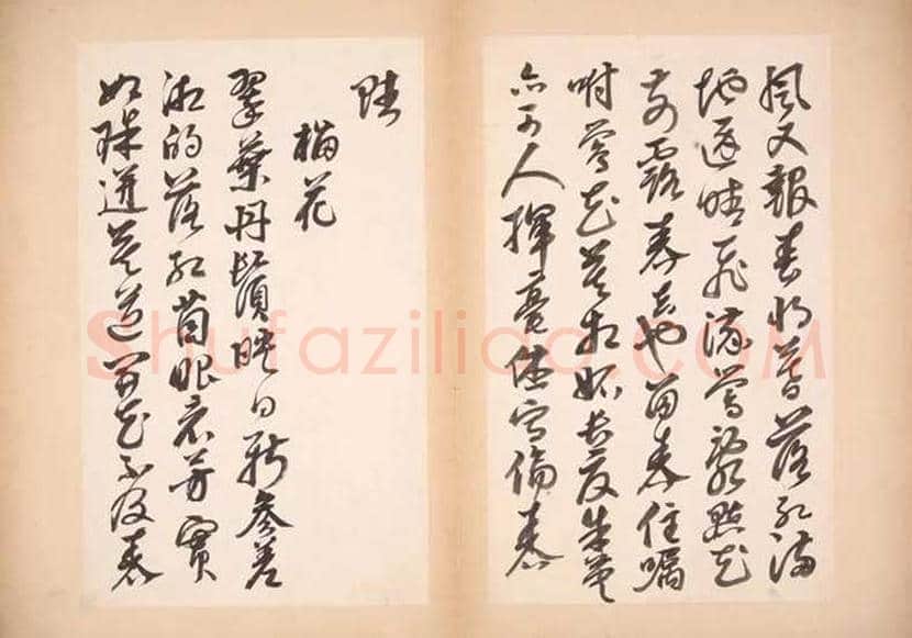 邢慈静书法册页欣赏 | 书画文摘