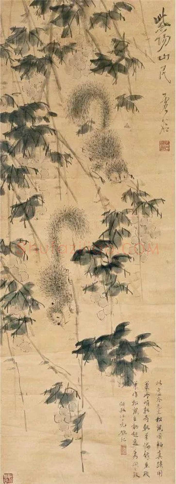 虚谷笔下的松鼠和金鱼欣赏 | 书画科普