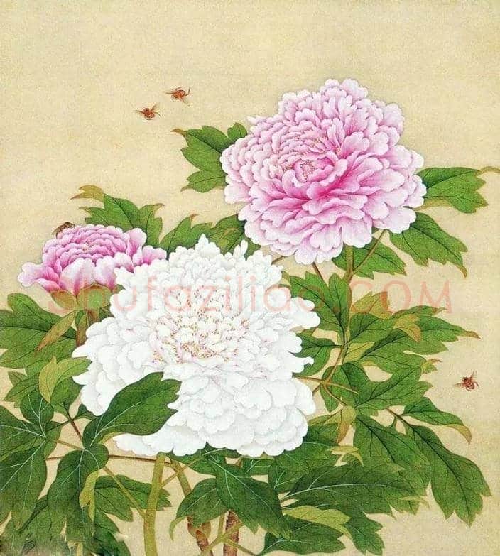 古代经典花鸟名画欣赏 | 书画常识