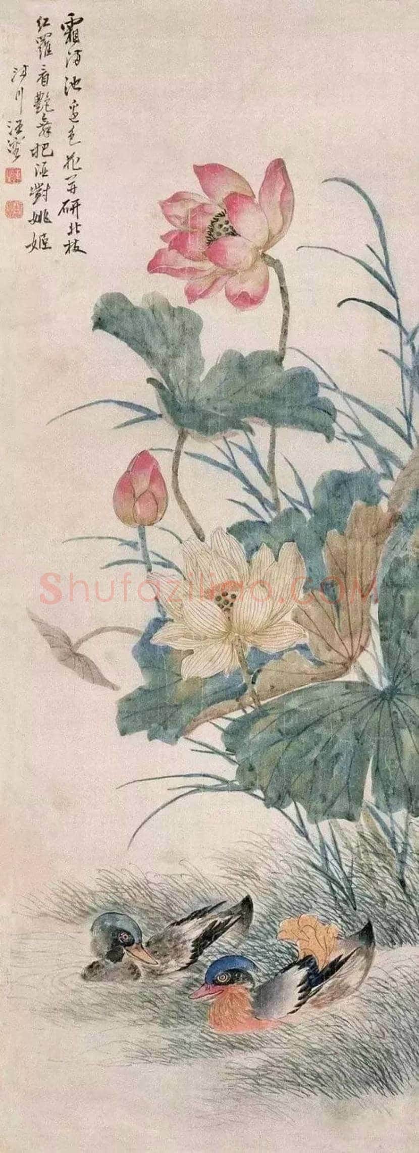 汪慎生花鸟画作品欣赏 | 书画常识