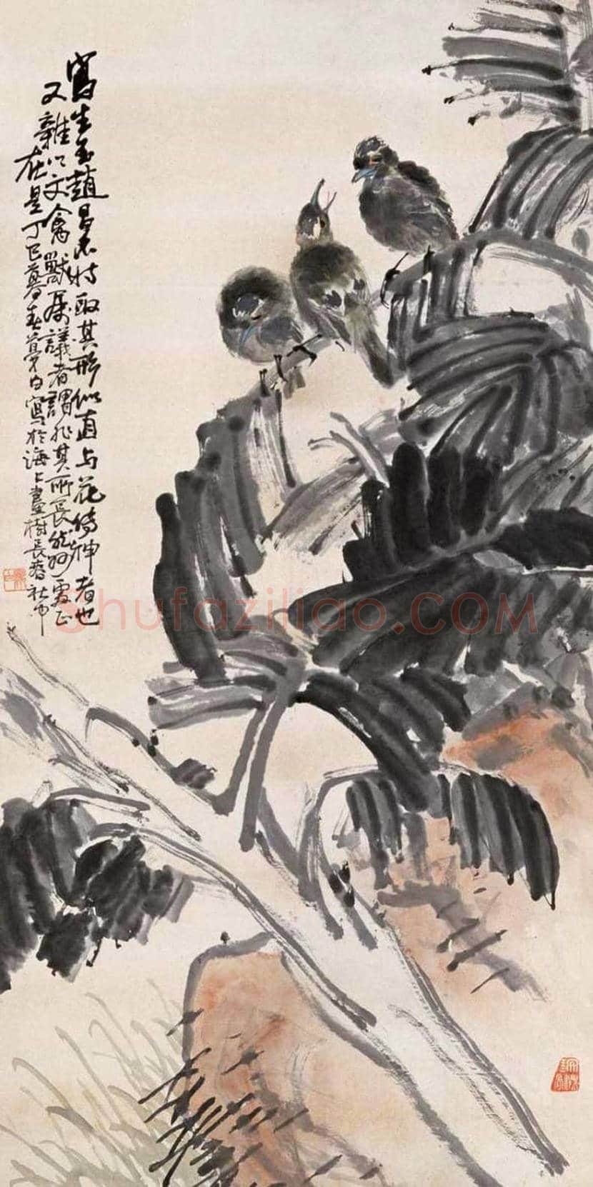 王梦白花鸟画作品欣赏 | 书画讲解