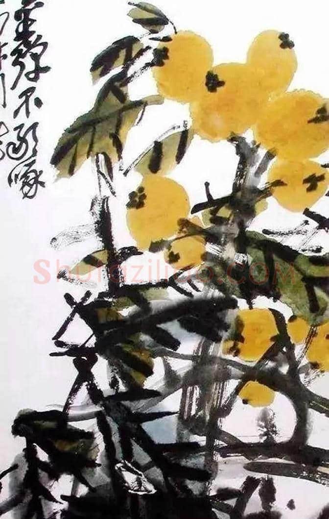 吴昌硕等三位大师画笔下的枇杷 | 书画讲解