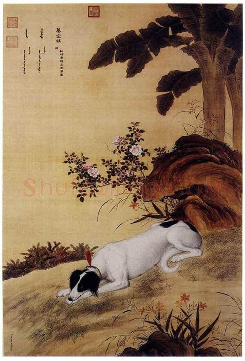 郎世宁画笔下的中国猎犬 | 书画常识