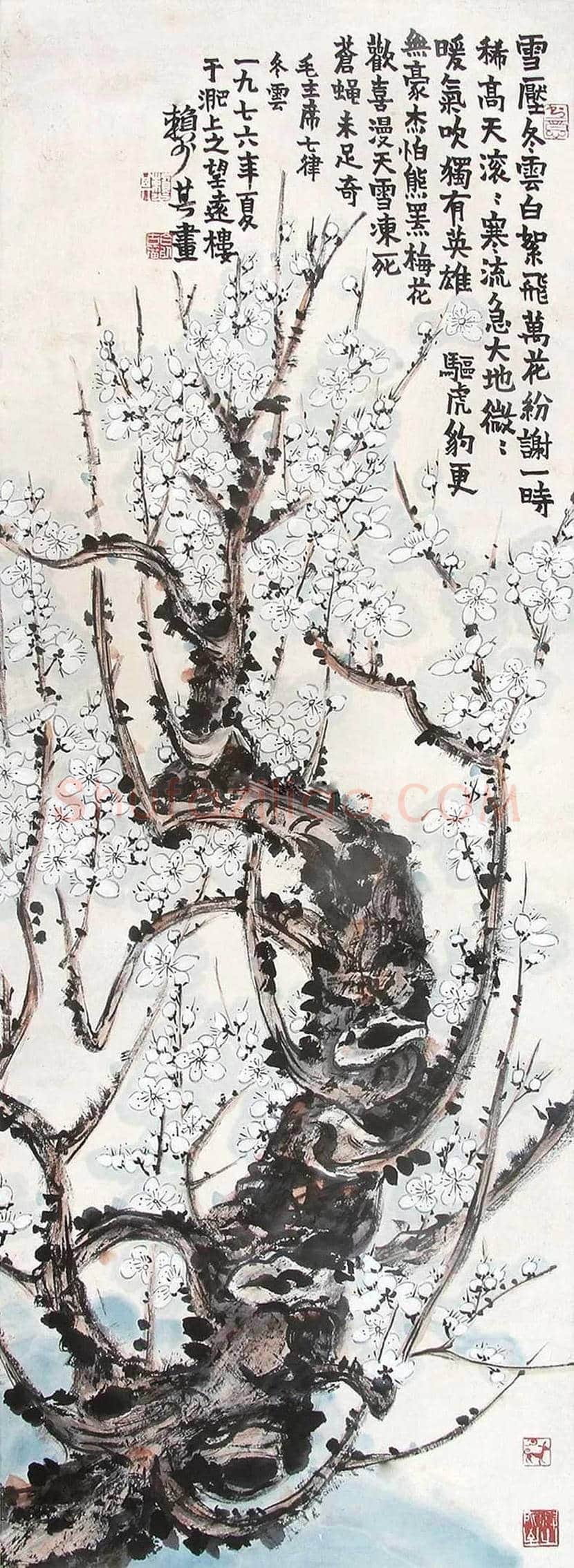 赖少其花鸟画作品欣赏 | 书画学堂