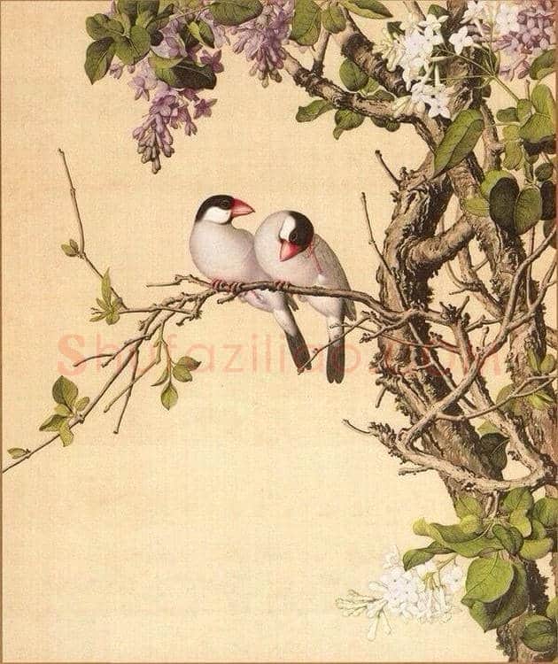 郎世宁笔下的中国花鸟 | 书画知识