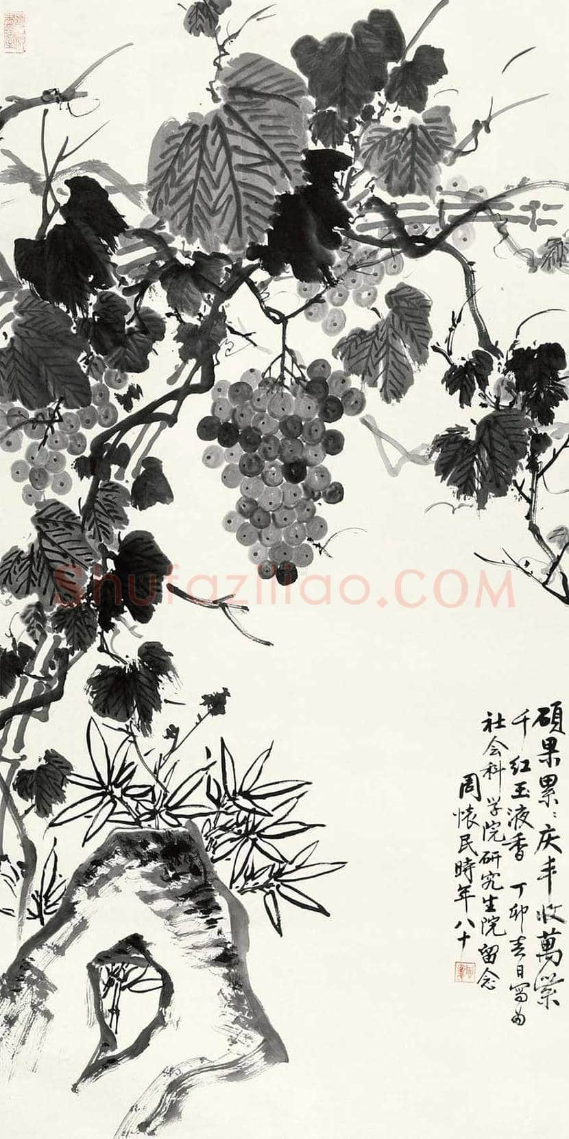 周怀民花鸟画作品欣赏 | 书画科普
