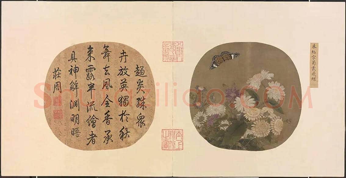 朱绍宗《书画菊丛飞蝶》欣赏 | 书画科普
