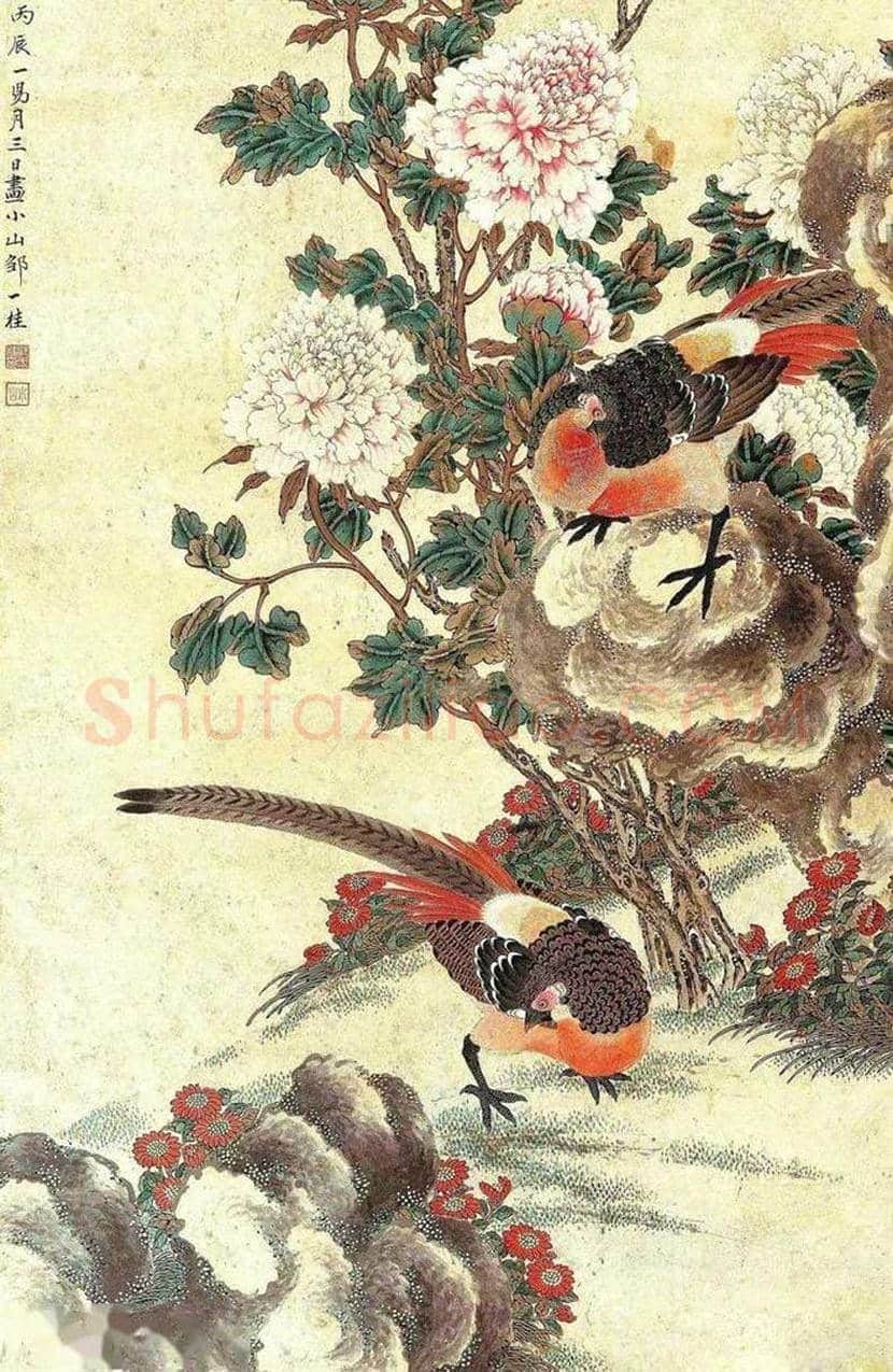 邹一桂工笔花鸟画作品欣赏 | 书画学堂