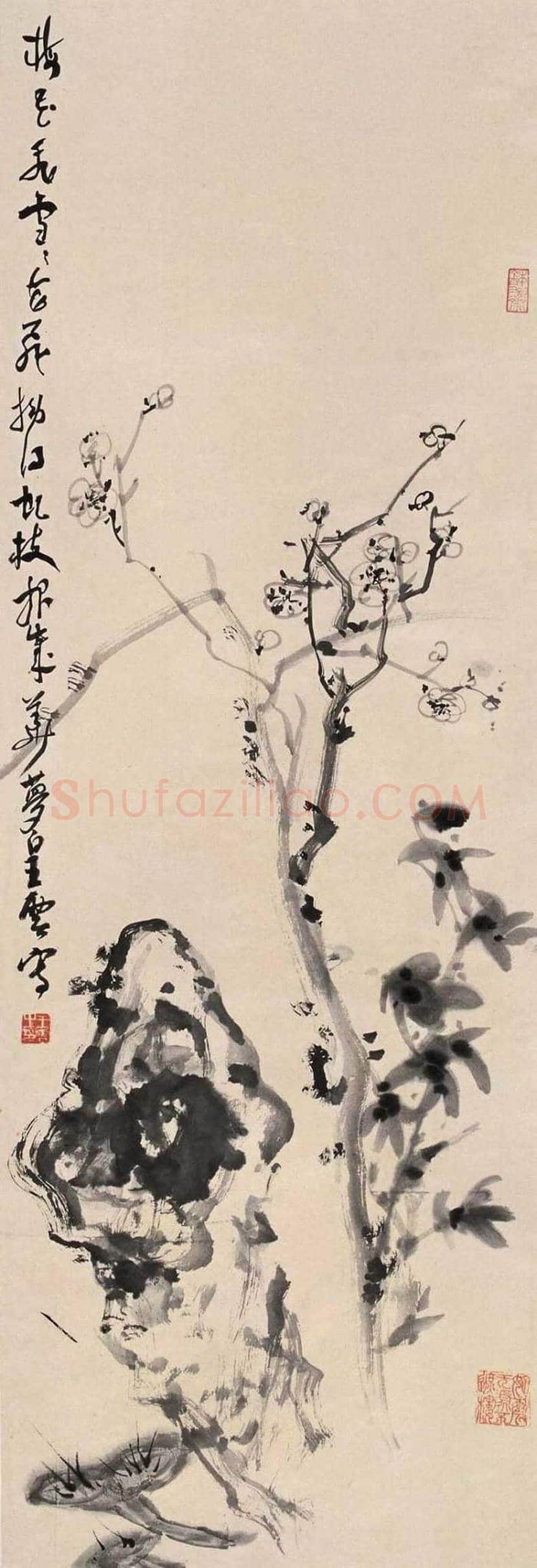 王梦白花鸟画作品欣赏 | 书画讲解