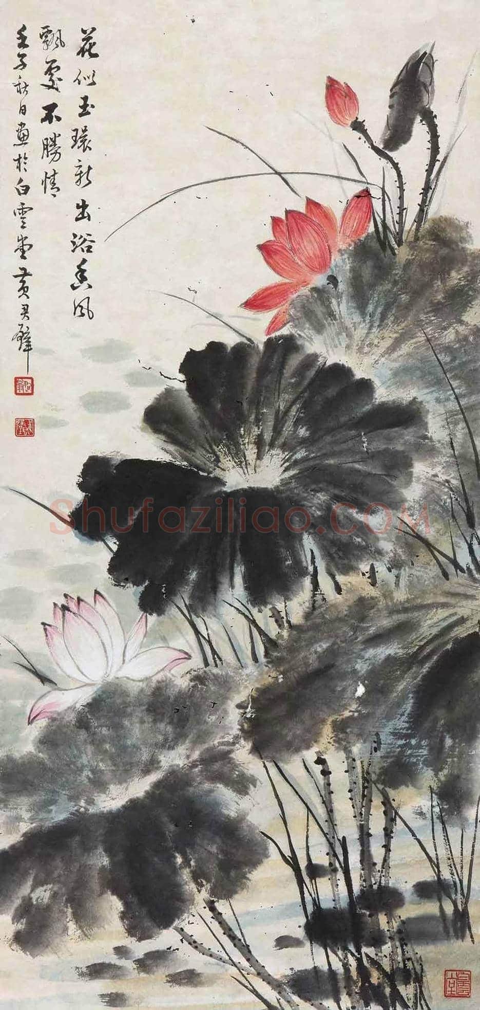 黄君璧荷花作品欣赏 | 书画知识