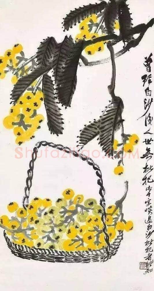 吴昌硕等三位大师画笔下的枇杷 | 书画讲解