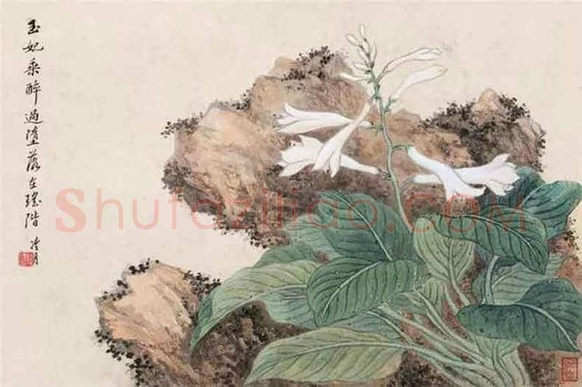 陶冷月作品欣赏 | 书画常识