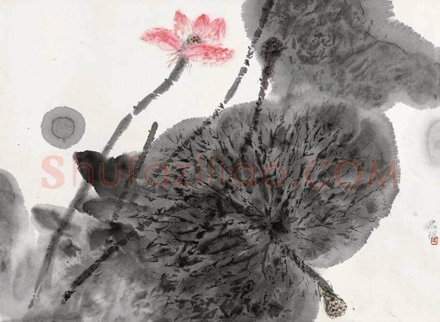 周思聪荷花作品欣赏 | 书画文摘