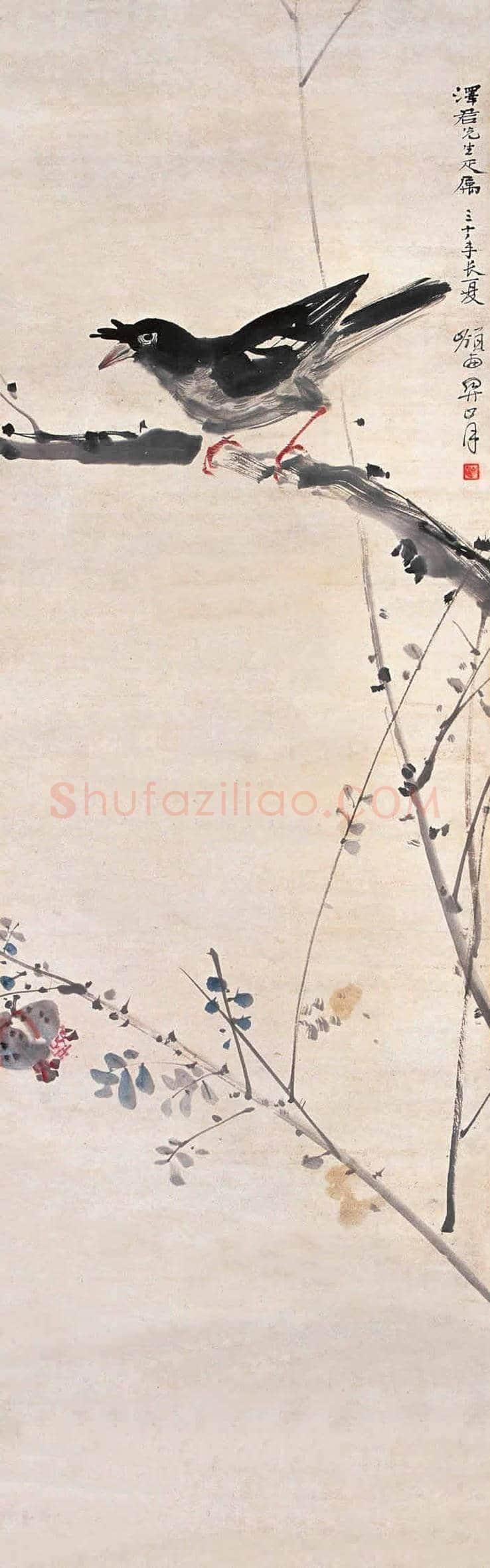 关山月花鸟画图赏 | 书画知识