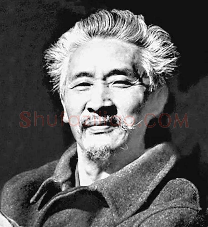 疯子画家石鲁：半癫半狂一大师 | 书画科普