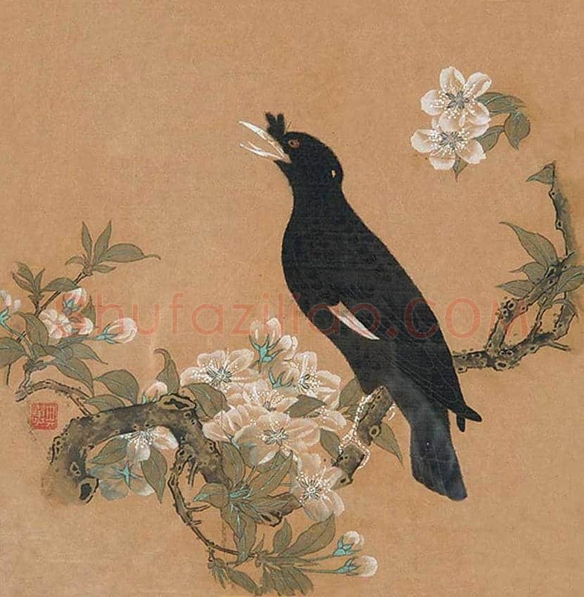 张其翼花鸟画作品欣赏 | 书画科普