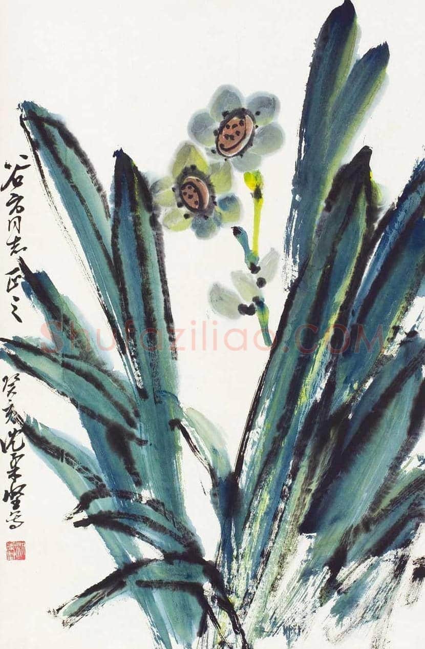 沈柔坚花鸟画作品欣赏 | 书画科普